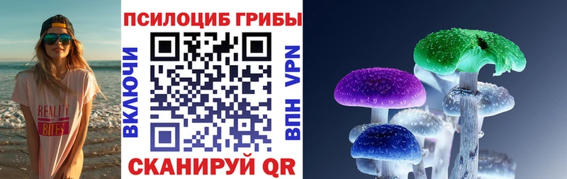 Галлюциногенные грибы Magic Shrooms  mega ссылка  Курск  как найти закладки 