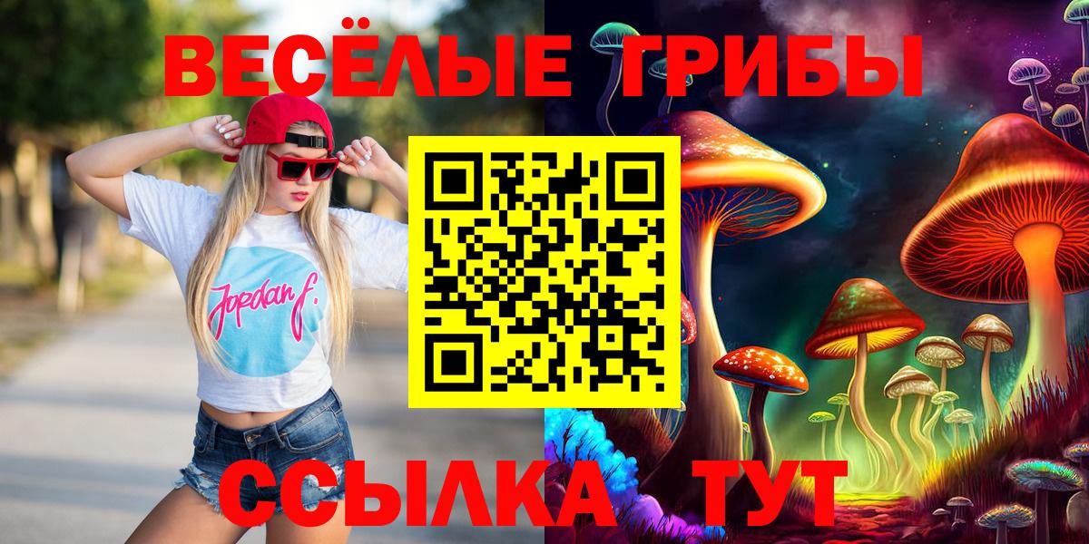 Галлюциногенные грибы мицелий  продажа наркотиков  Курск  Вход с VPN 