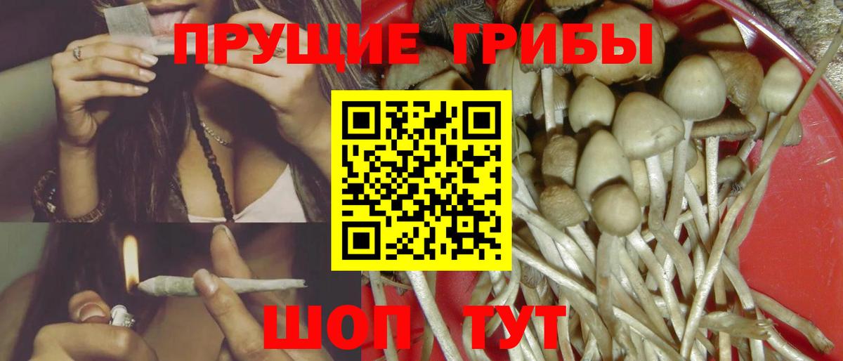 Псилоцибиновые грибы Cubensis Курск