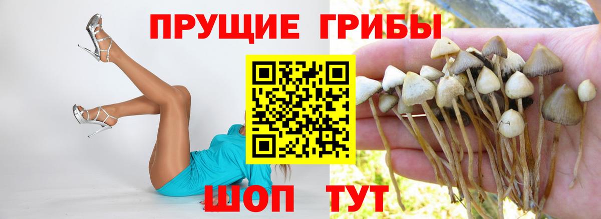 Галлюциногенные грибы MAGIC MUSHROOMS  Псилоцибиновые грибы мицелий  Курск 