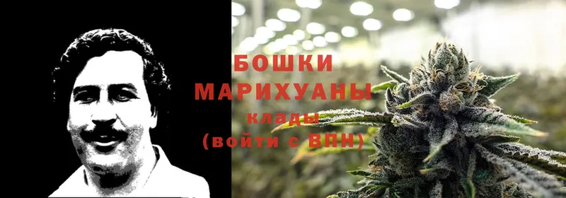 закладки  Курск  МАРИХУАНА SATIVA & INDICA 